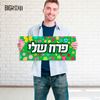 תמונה של מבחר מיני כרזות